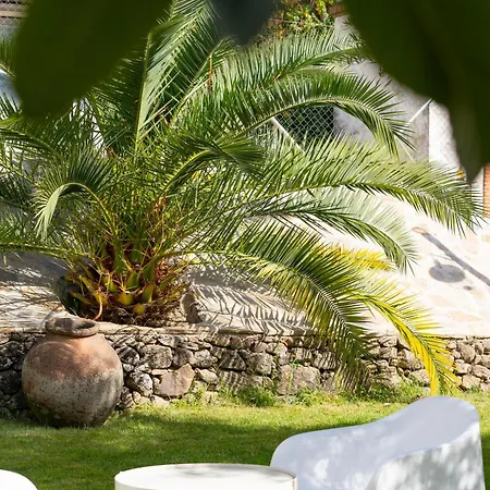 Daire San Miguel N.3