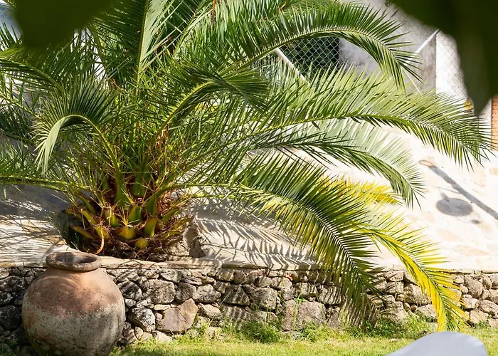 Apartment San Miguel N.3